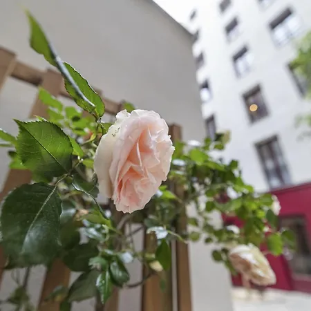 Apartamento Chiquito