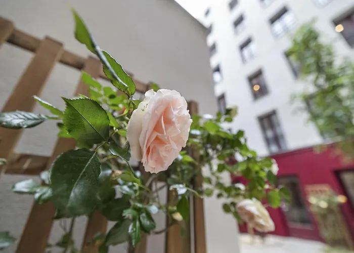 Apartamento Chiquito